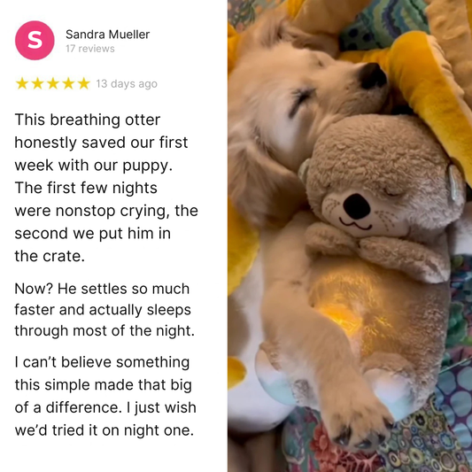 Snugwise Calming Breathing Plush